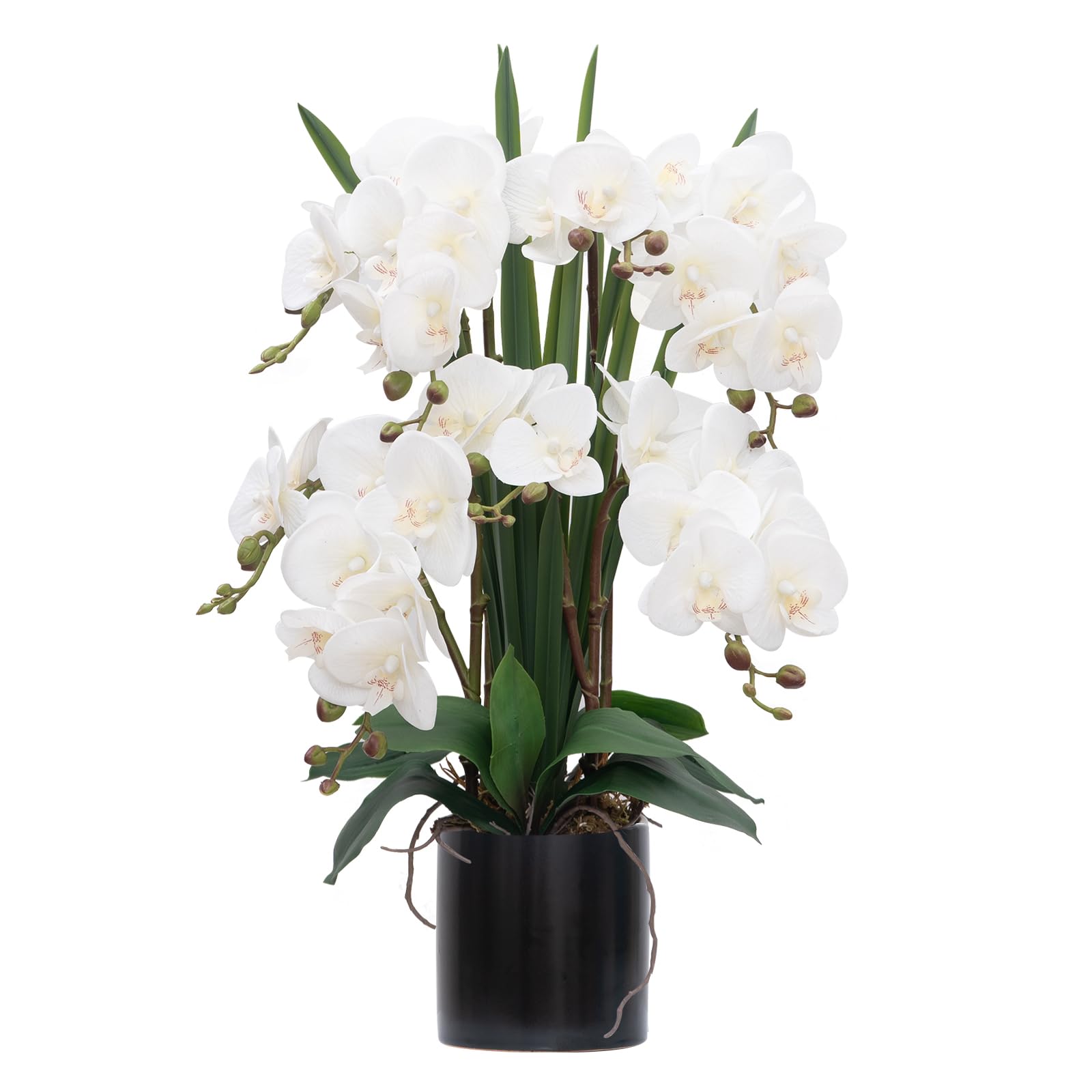 CXGS Artificial Orchid Flower Plants Real Touch Faux Orchids in Ceramic Vase 20.9'' White Phalaenopsis Orchid Fake Flower Arrangement Home Indoor Decor