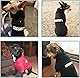 BINGPET Hunde Hoodie Sweatshirt,Weicher und Komfortabler Fleece-Pullover für Kleine und Große Hunde, Premium-Qualität, Geeignet für Alle Hunderassen, Haustierkleidung