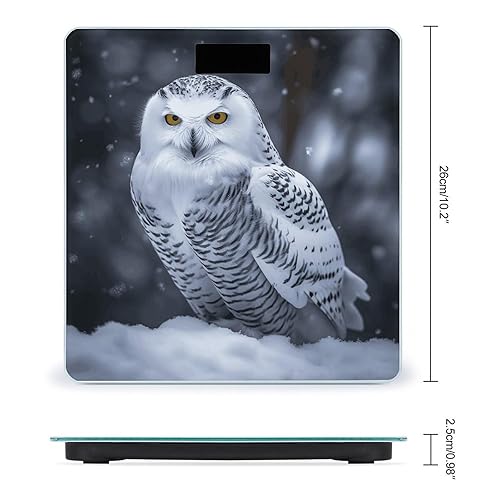 Miniatura 2 de Arctic Owl Weight Scale for Body Weight Digital Bathroom Scale High Capacity Accurate Digital Weighing Scales and Easy-to-Read on Backlit LCD Display