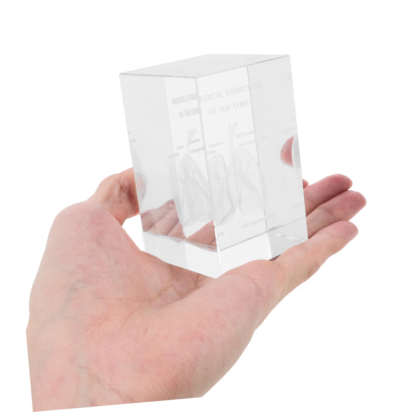 Modelo Anatómico del Pulmón en Cristal 3d Intrincado Grabado Interno, Diseño en Cubo Elegante para Enseñanza Científica y Decoración en Oficina