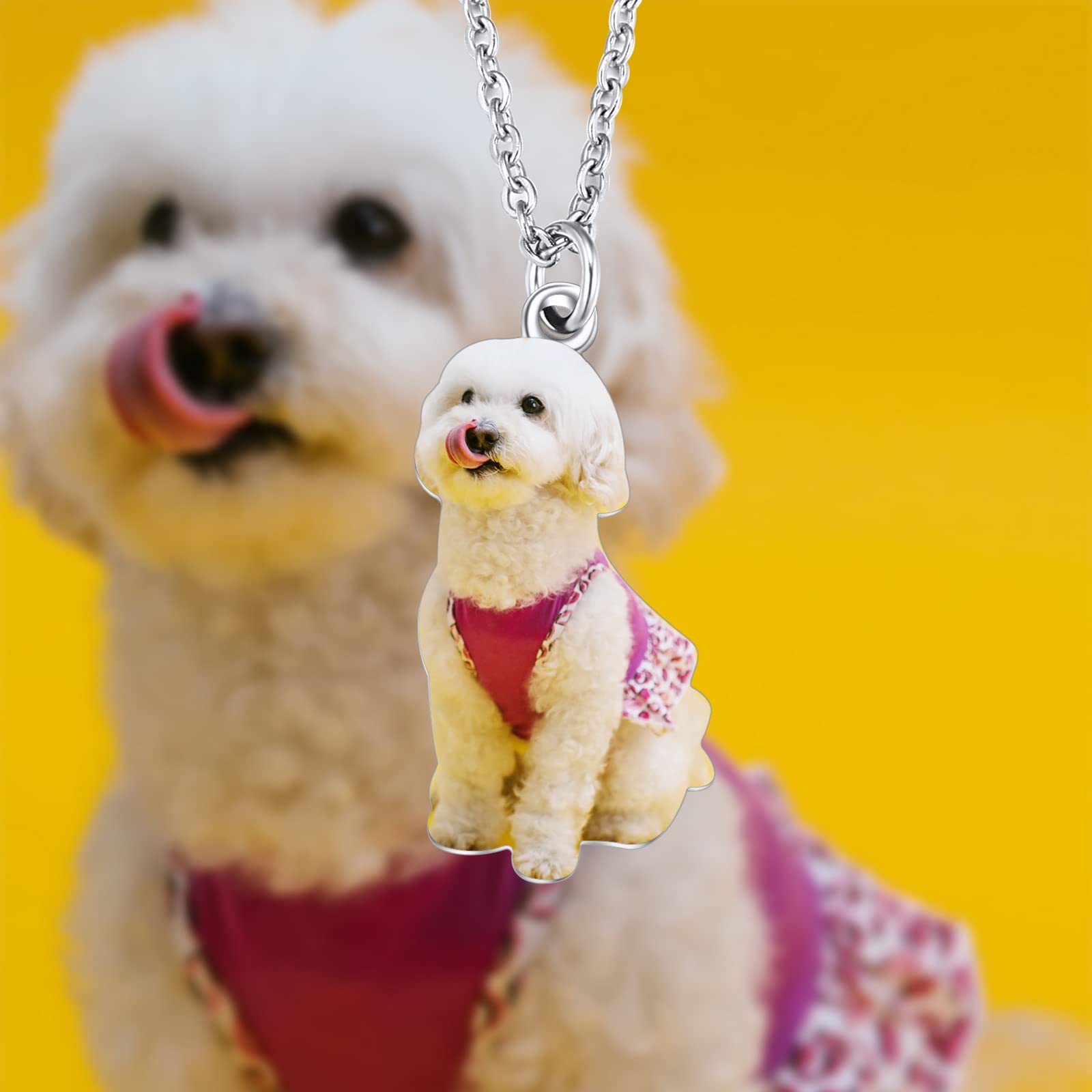 INBLUE Collana con Foto Personalizzata Regali per Gli Amanti dei Cani e dei Gatti Collana con Ciondolo con Foto Personalizzata per Animali Domestici Regali Commemorativi a Forma di Cuore/Rotondi