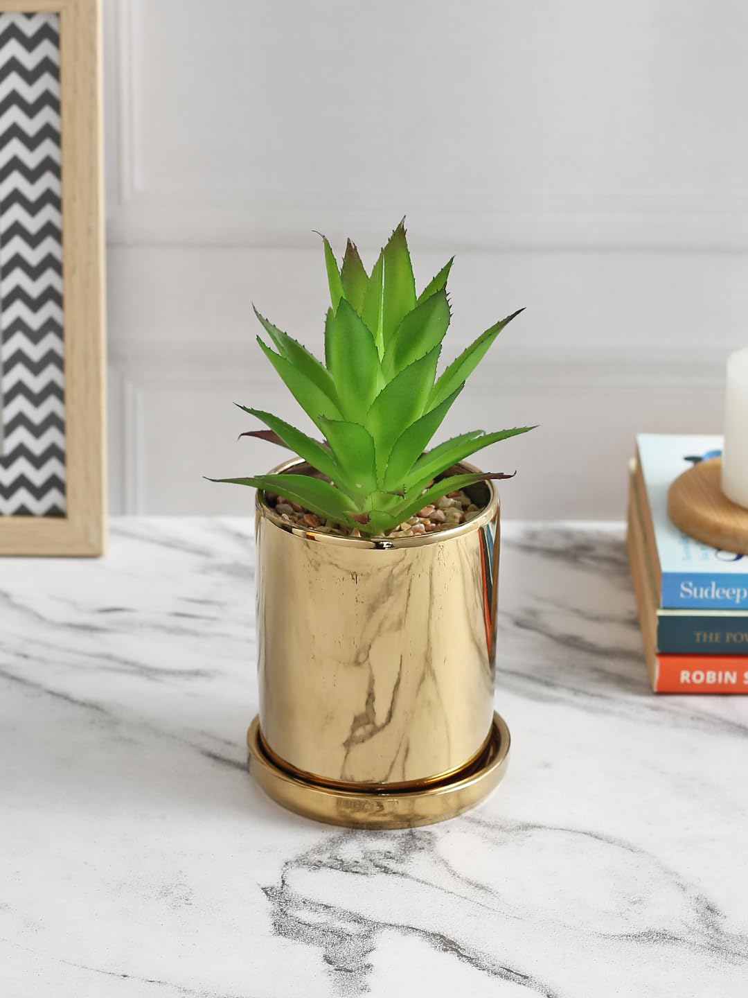 Fourwalls Artificial Succulent Plant with a Golden Pot and a Coaster for Home Decor and Office Decor | Natural Look | (15.5 cm)-image-13
