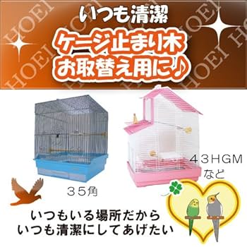 Amazon | ホーエイ HO止り木ホルダ 250mm | HOEI | 止まり木 通販