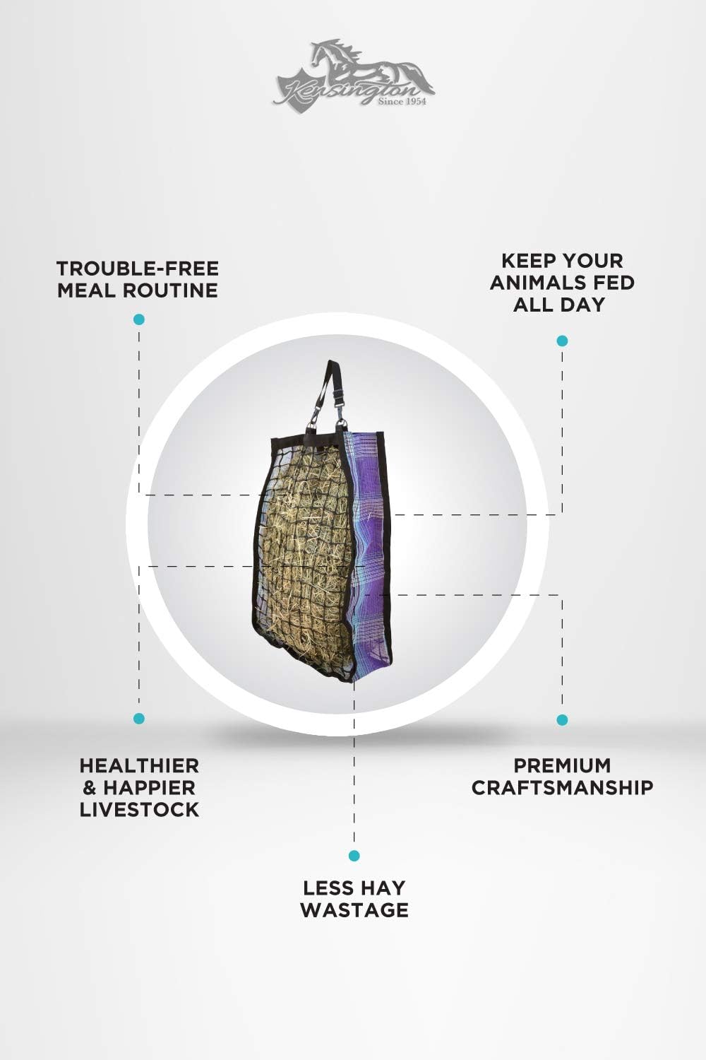 Kensington : Pet Supplies