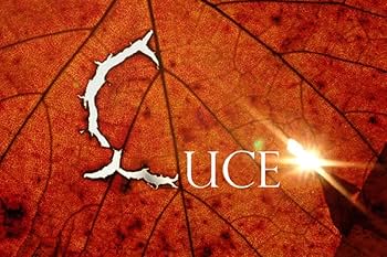 【シーシー】ルーチェ　2018 　750ミリ　新品未開封 Amazon.co.jp: 【並外れた複雑さ】ルーチェ [ 赤ワイン フル