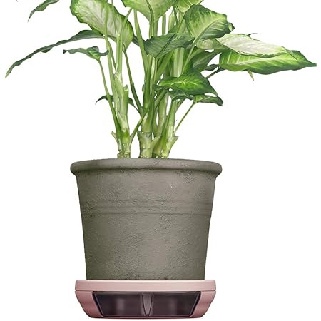 Amazon ポットキーパー 鉢 鉢皿 観葉植物の清潔グッズ お部屋きれいにお手入れ簡単ラクに シェルピンク 受皿 Amazon ポットキーパー 鉢 鉢皿 観葉植物の清潔グッズ お部屋きれいにお手入れ簡単ラクに シェルピンク 受皿