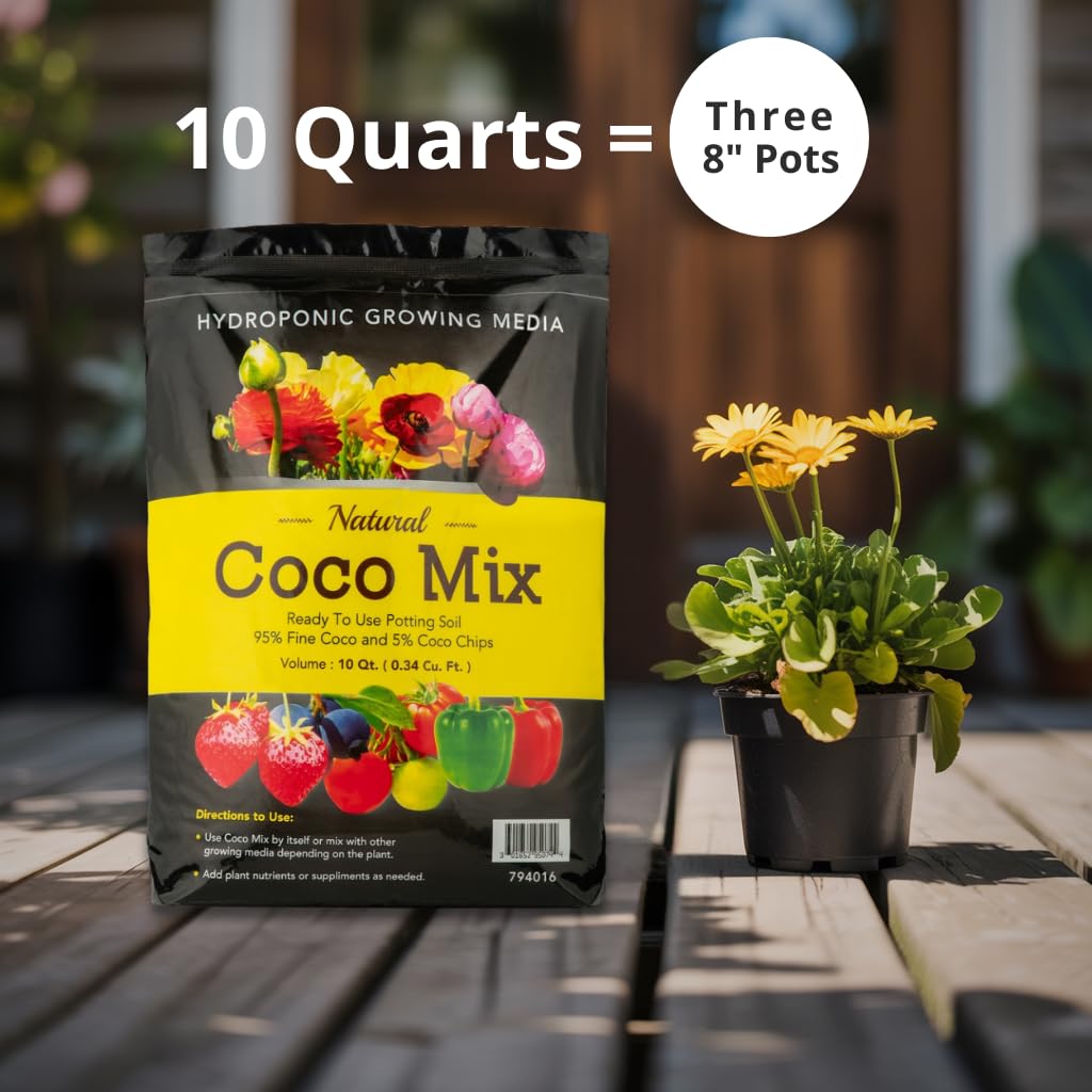 ［CoCo ˚✧₊⁎］8/9発送ケイトウMIX100サイズ Amazon.com : Envelor Potting Soil Mix 10 Quart Bag 0.34 Cu. Ft