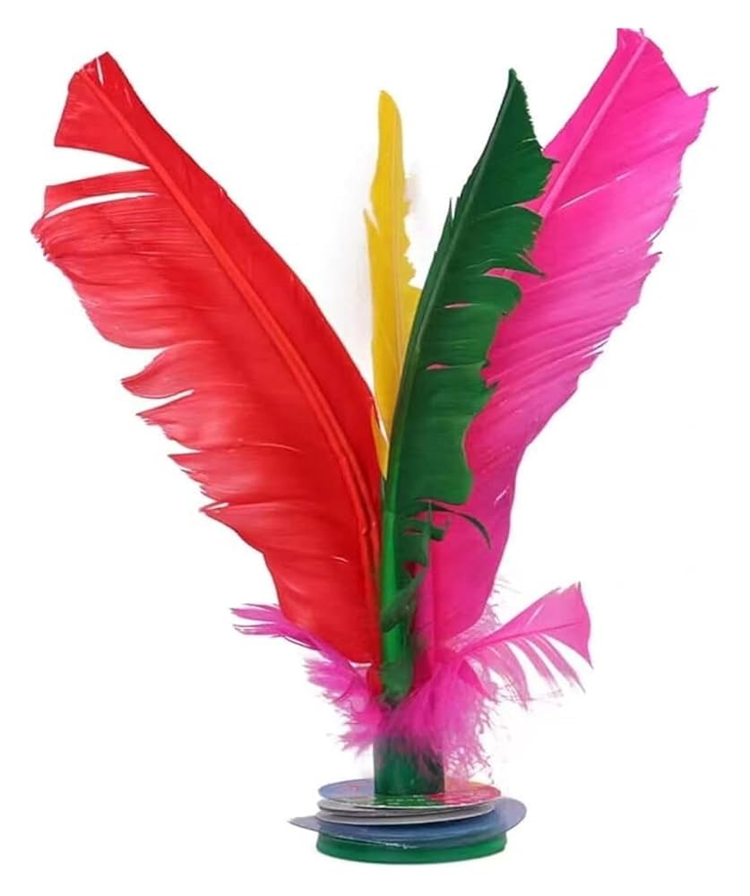 鳥の羽根　キジの翼と足 鳥の羽根 キジの翼と足