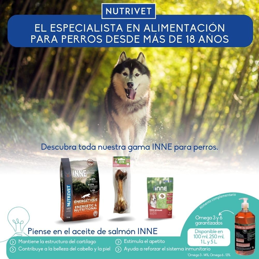 Nutrivet - INNE - Chien - Friandise Naturelle - Oreilles de Porc - 10 pièces - Fabriquée en France
