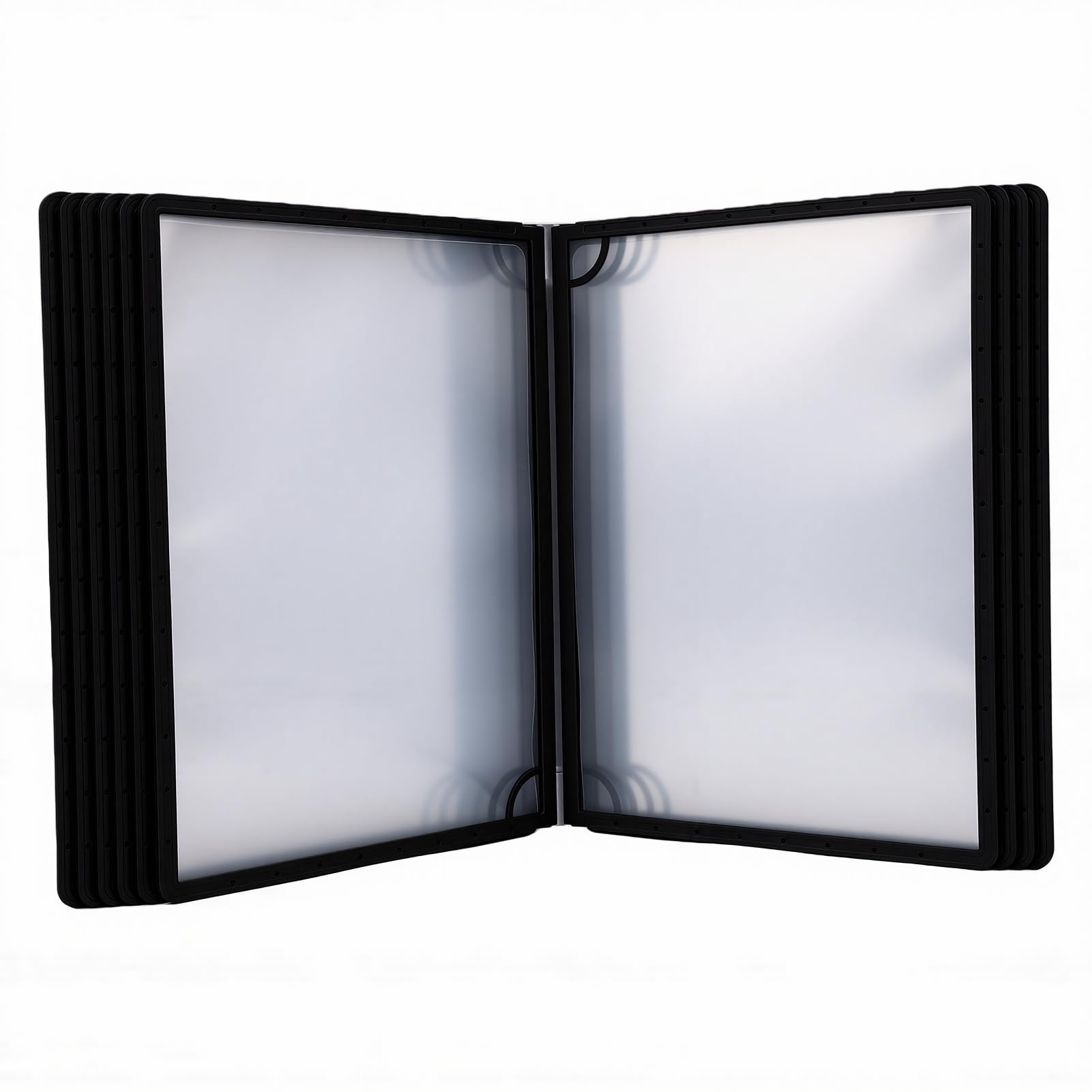Porta Cartelli Magnetici, Cartelle Sospese con Tasche Integrate e Fondo Espandibile per L'archiviazione di Documenti da Ufficio (Supporto magnetico)
