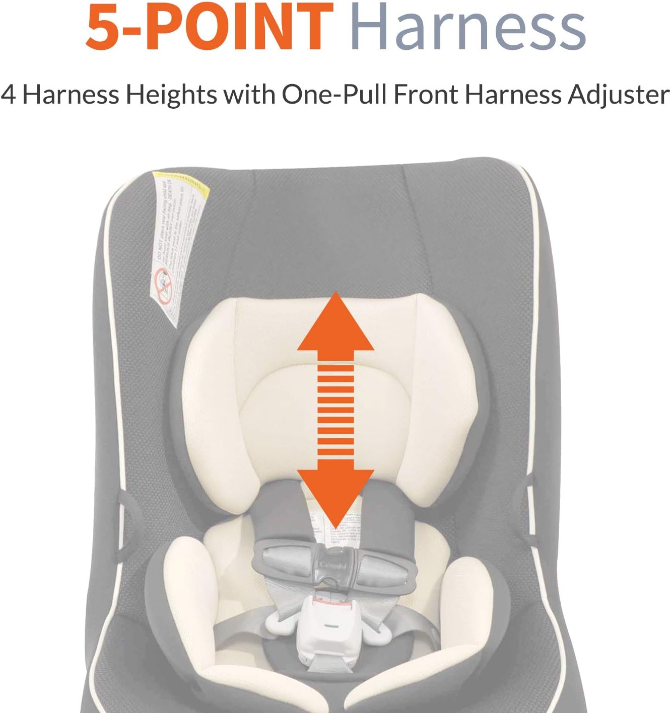 combi coccoro canada