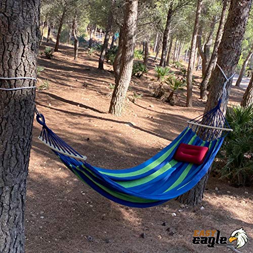 Easy Eagle DCL60WGEE