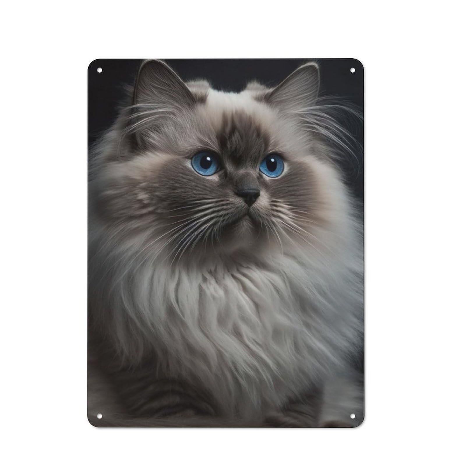 Junmoney Birman Kitten Retro Metal Wall Sign 40X30cm With For Garage Wall, A Decorative Metal Sign For Garages And Workshops