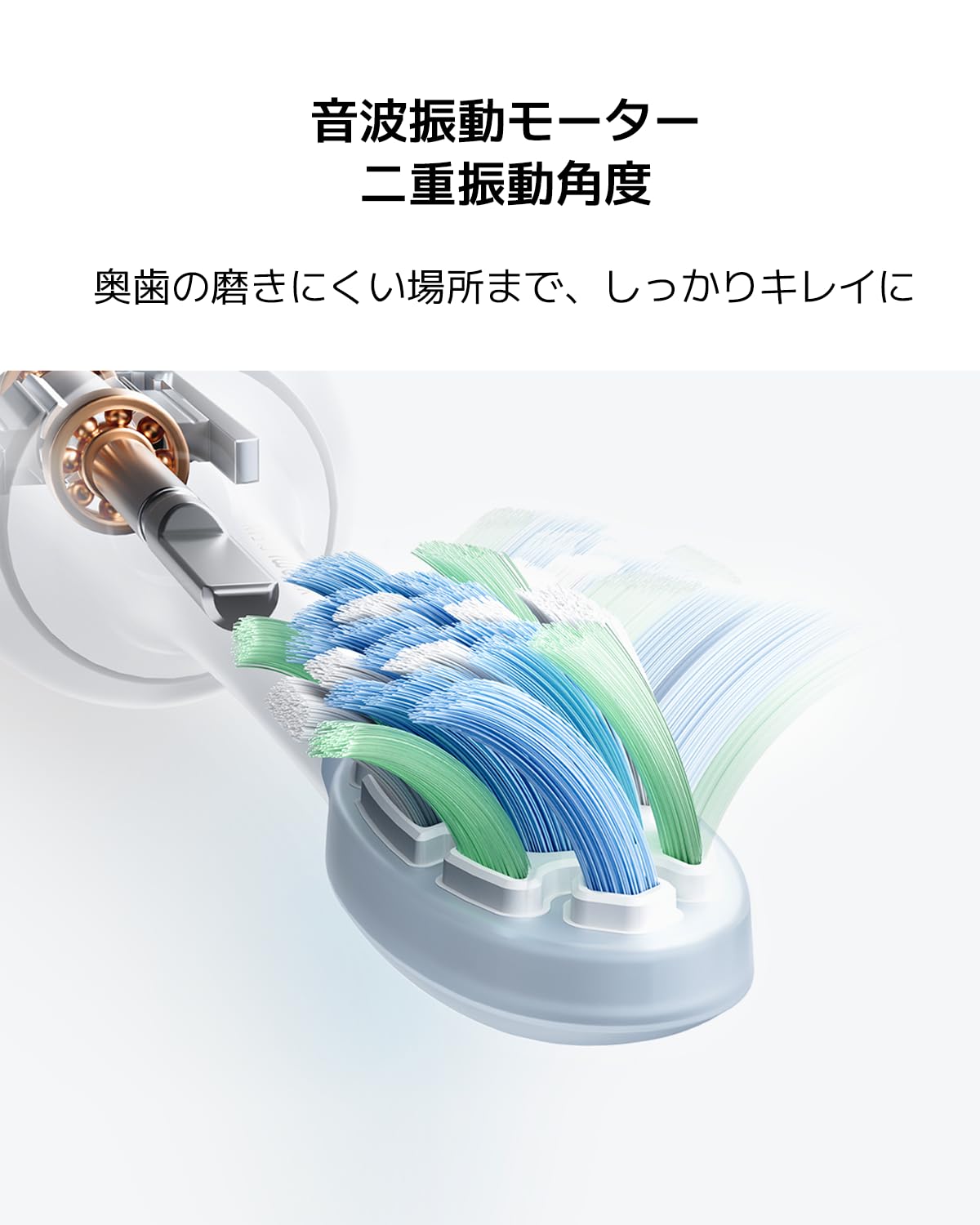 Xiaomi Cepillo Eléctrico Oscillation Electric Toothbrush Blanco