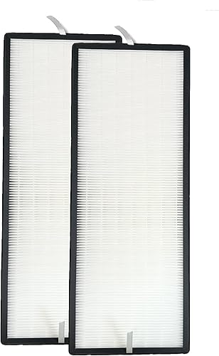 Nispira XL6076UO XL6071 - Filtro de repuesto True HEPA compatible con Rowenta Intense Pure AIR XL Purfier PU6010, PU6020, PU6081U0, PU6020U2,