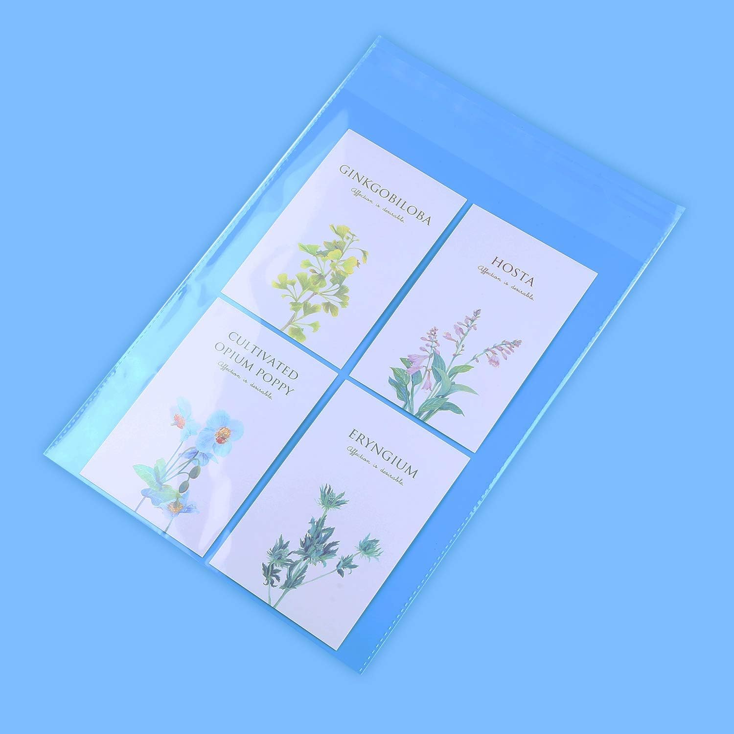 iMailer - 1000 Pack - 9" x 12" Cellophane Bags Self Adhesive - Clear Cello Resealable Plastic Poly Bags for A4, Letter Sized Documents, Plastic Sleeves, Clothing