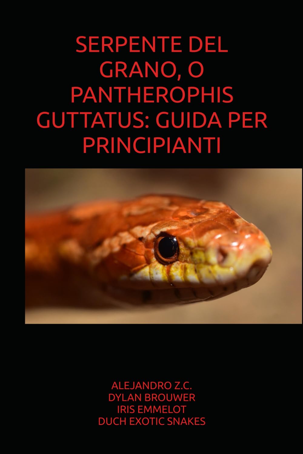 SERPENTE DEL GRANO, O PANTHEROPHIS GUTTATUS: GUIDA PER PRINCIPIANTI