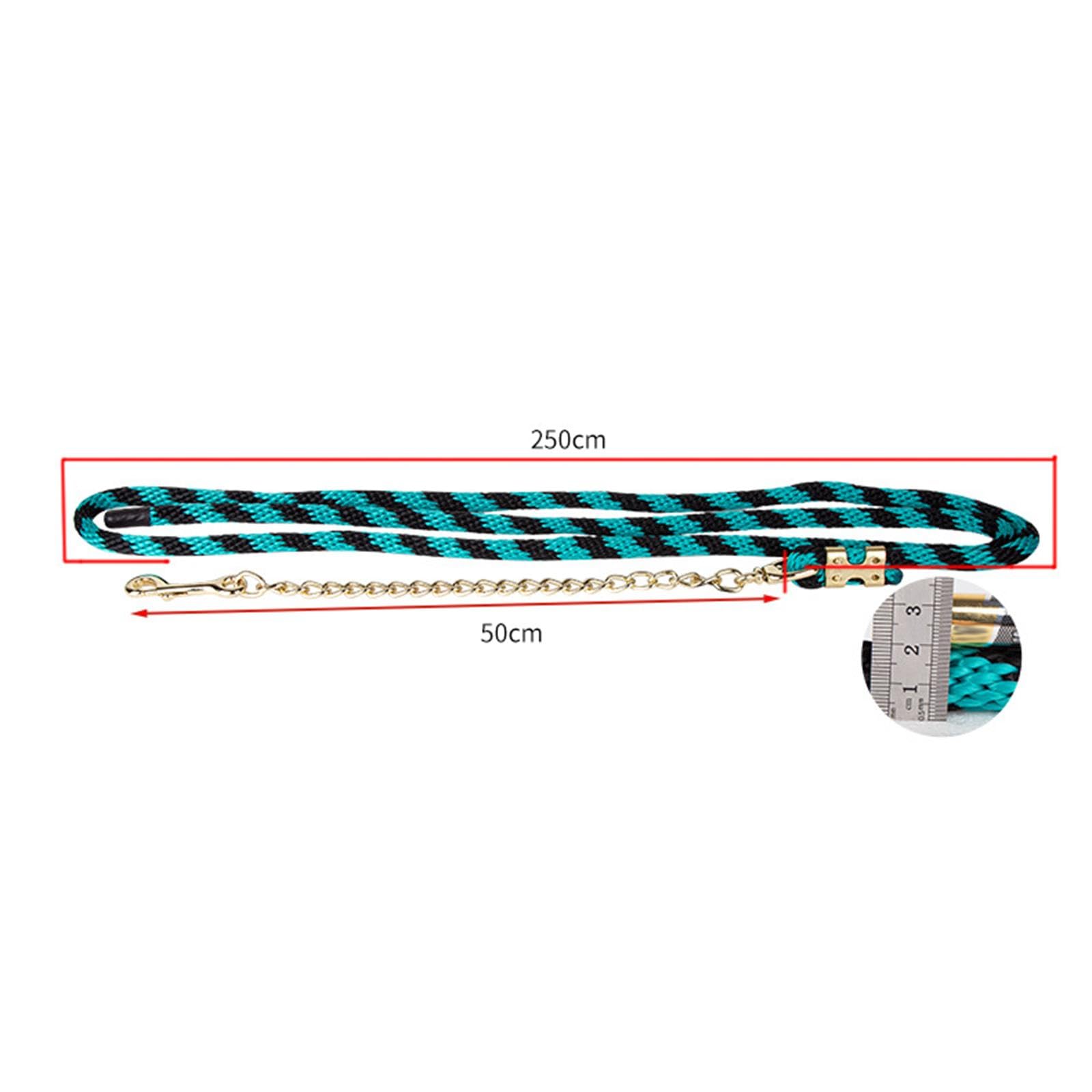 Guinzaglio per Stalloni con Moschettone, Accessori per Equitazione.