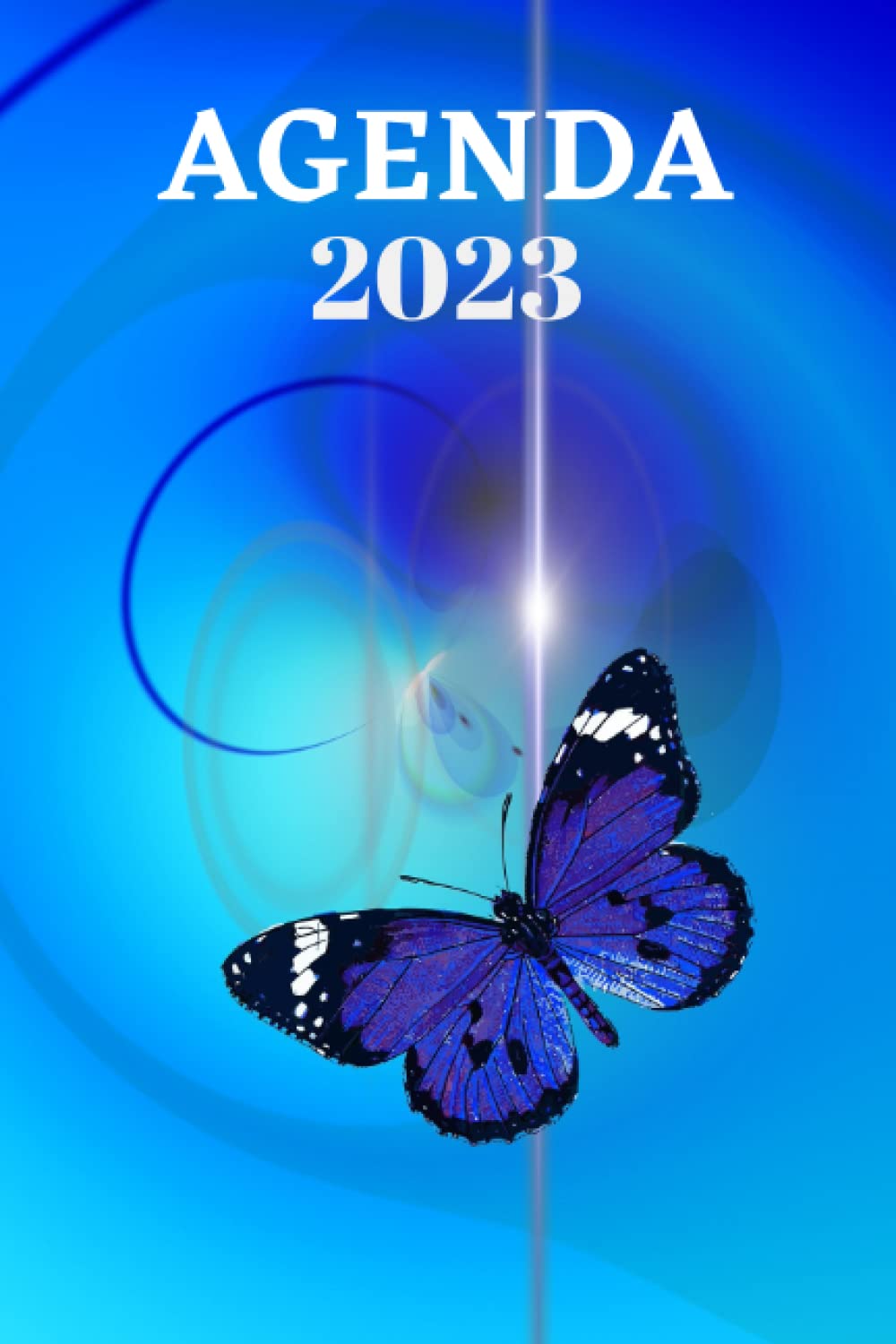 buy-agenda-2023-agenda-semainier-d-un-an-de-janvier-2023-d-cembre