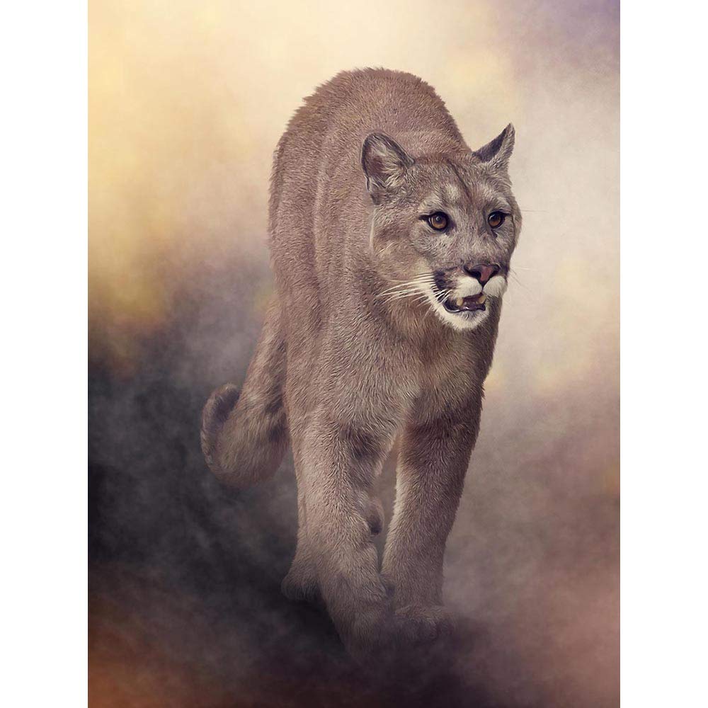 Wee Blue Coo Mountain Lion Cougar Illustration Unframed Wall Art Print Poster Home Decor