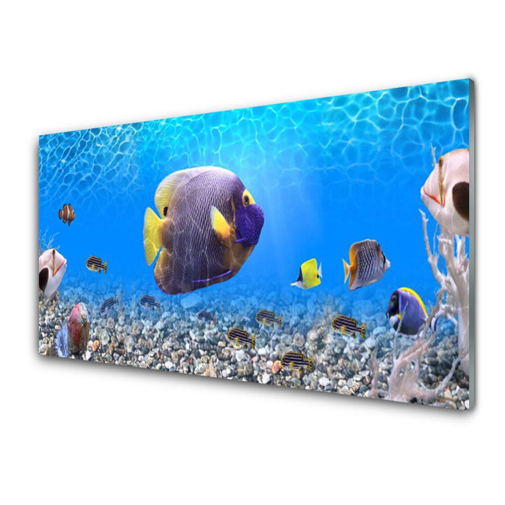 Impression sur Verre Trempé Tulup 100x50cm Tableau Mural Anti-Rayures Déco Nature du Poisson