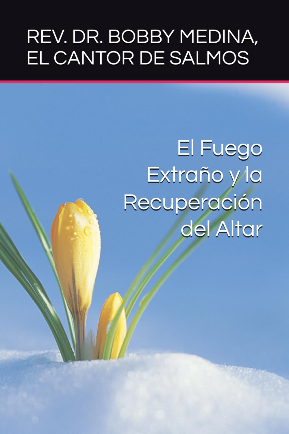 El Fuego Extraño y la Recuperación del Altar