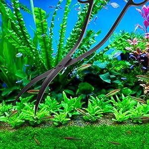 Meri SHOPP Aquarium Fish Tank Water Grass Landscape Trimming Tool Wave Scissor