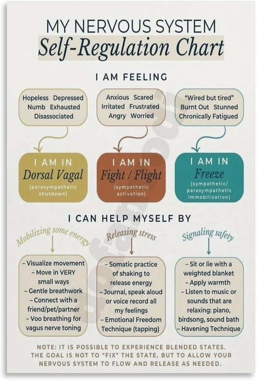 LLBOGRGGN Nervous System Guide Poster, Polyvagal Theory Infographic, Mental Health Awareness Wall-Art for, Yoga, Home(Framed,08x12inch(20x30cm))