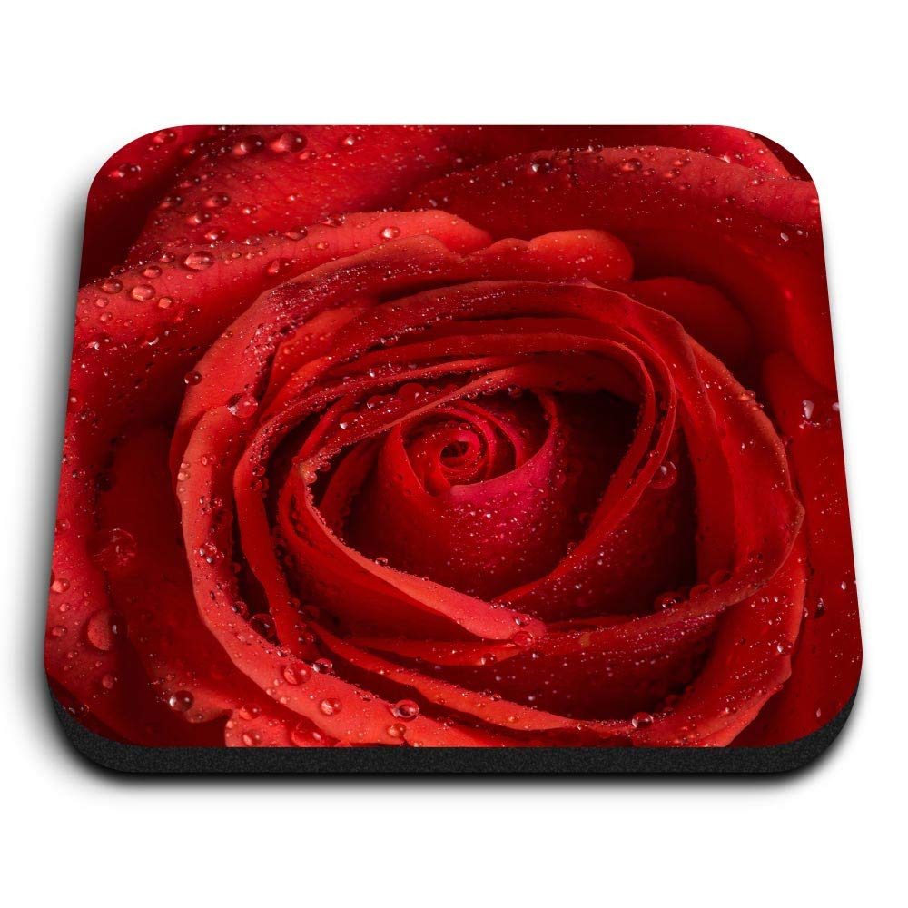 1 x Square MDF Fridge Magnet - Red Rose Macro Shot Water Droplets 16707