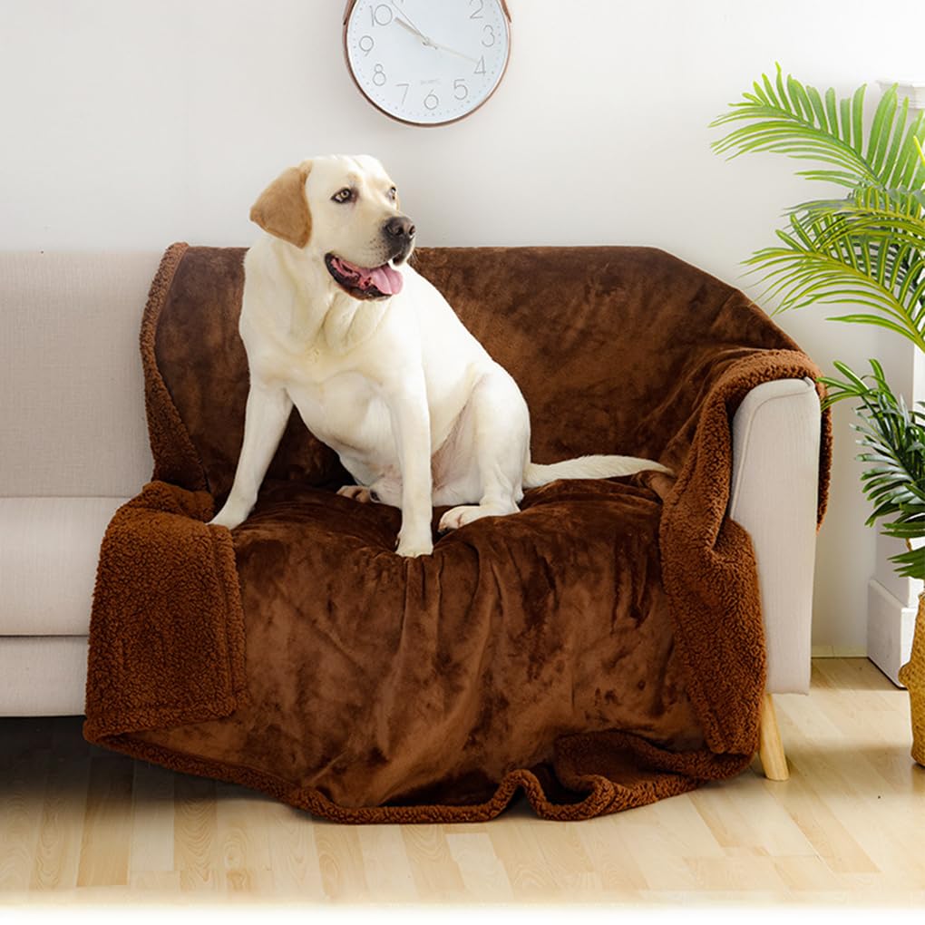 Manta Impermeable para Perros, Muebles adecuados para Todas Las Razas, Tela práctica, Manta Impermeable para Perros, Manta para Gato, Negro XL