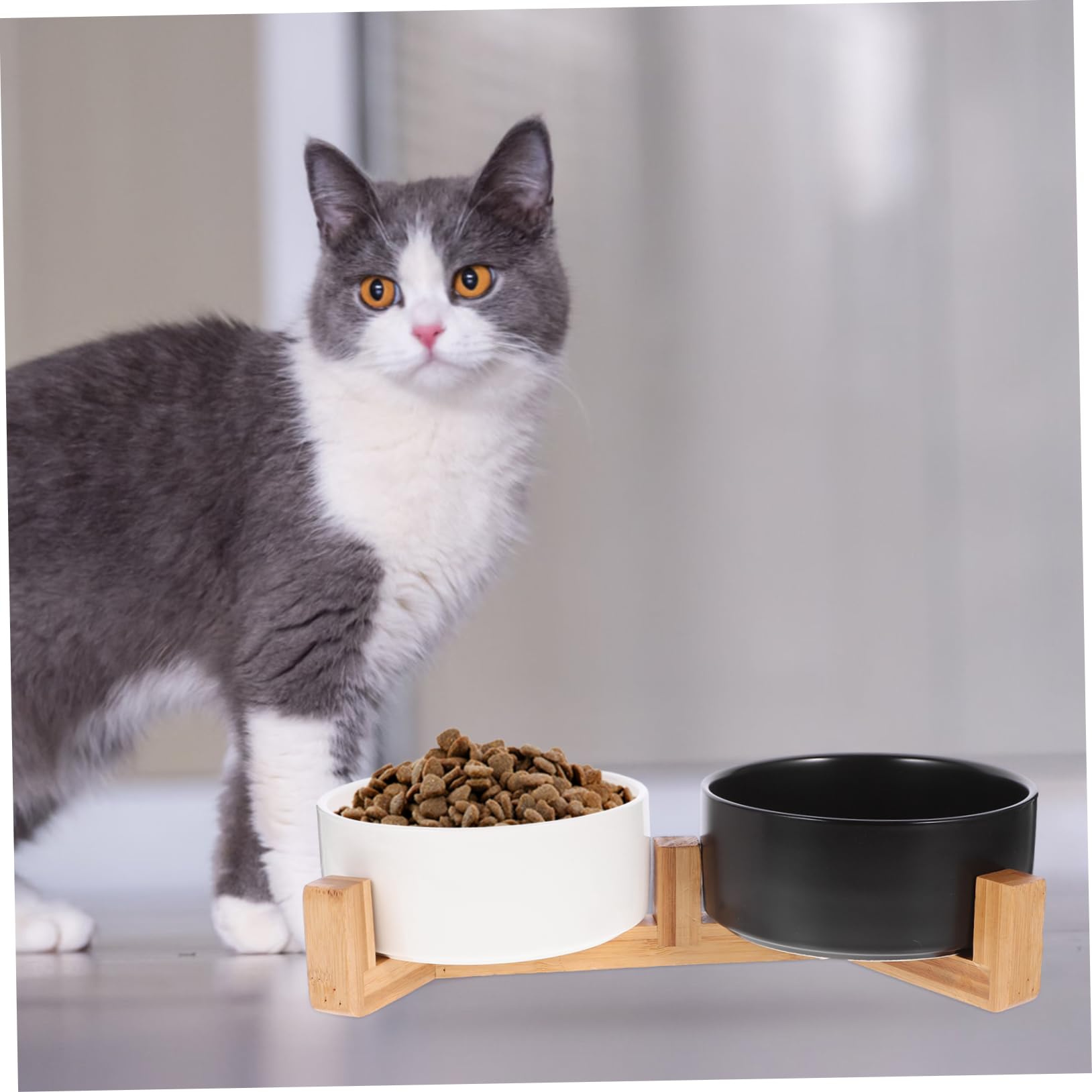 HEMOTON Comederos de Cerámica para Perros y Gatos con Soporte de Madera Antideslizante Comedero Mediano para Alimento y Agua para Mascotas