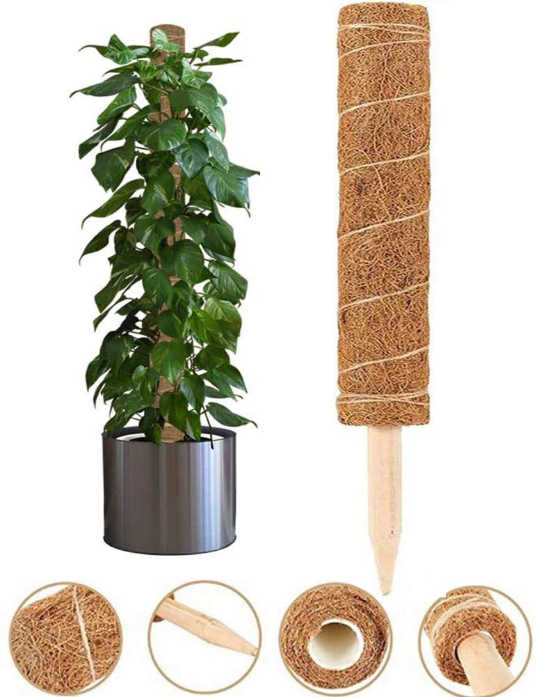 FLORASELF Kokos plantenstok mosstok 80 cm kopen