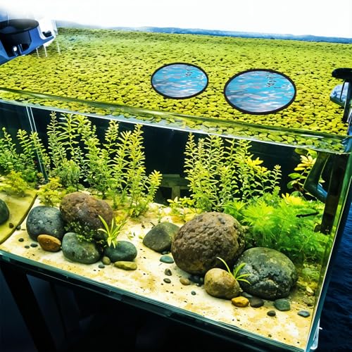 Image of 5 PCS Aquarium Feeding Ring Floating Feeder Ring Floating Plant Corral Aquarium Floatings Plant Rings Fish Feeder Rings for Fish Tank 5 Sizes Round Plants Corral for Keeping Plants in Place (Black)