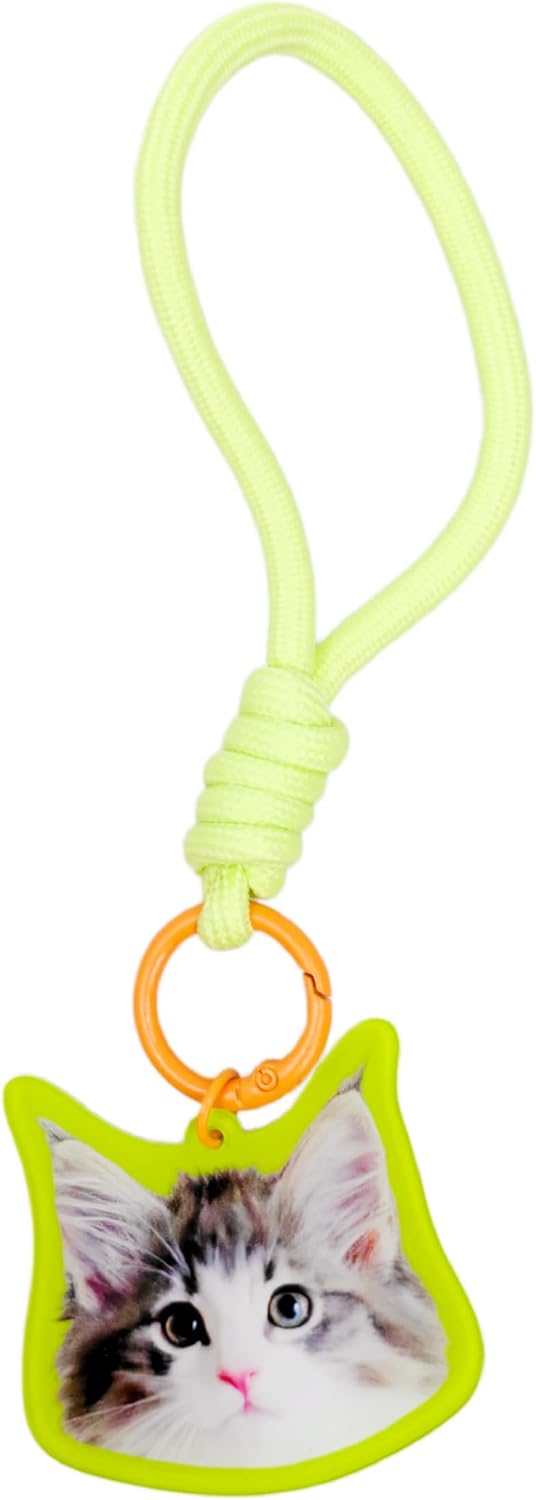Acrylic Ragdoll Cat Keychain - Cute Car & Purse Charms for Women Y2K Accessories, Mini Backpack & Wristlet Key Chain, Cat Gifts