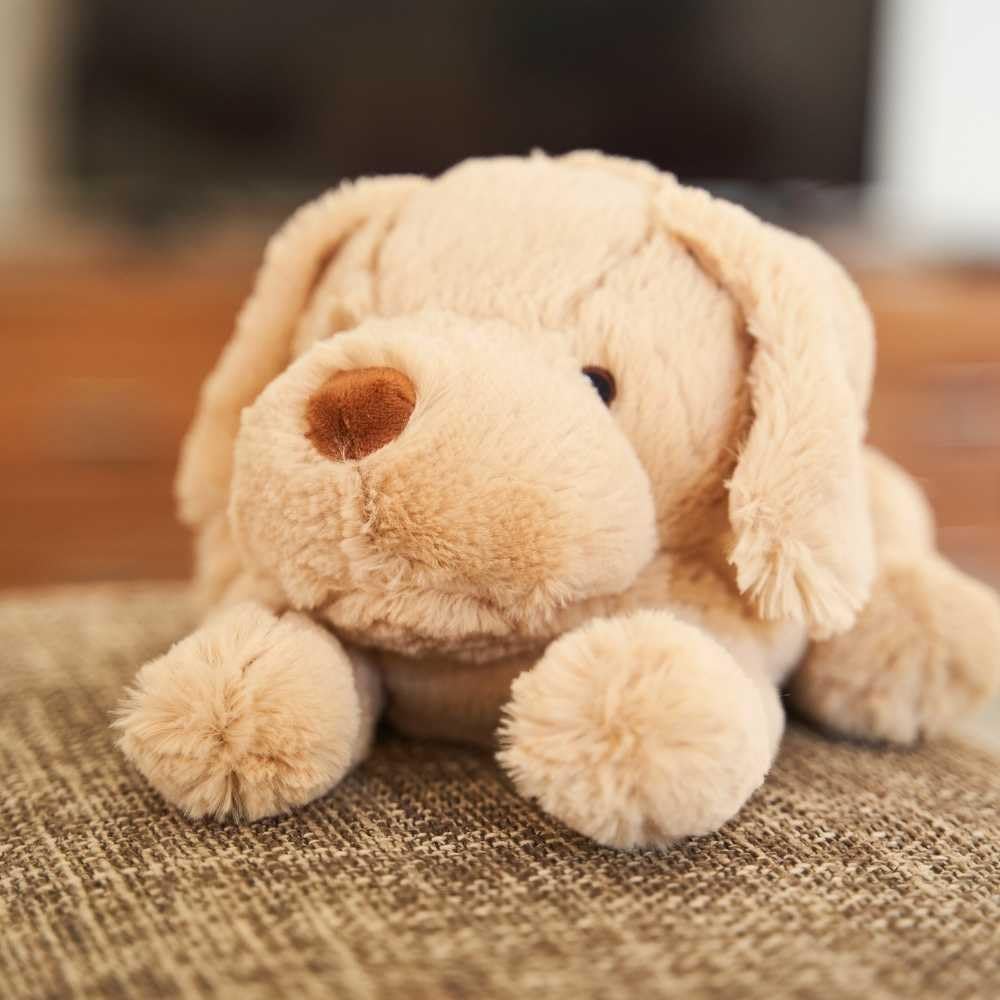 Pelucho Bouillotte Peluche Chien Labrador - Chaleur Lavande Et Blé - Made In France