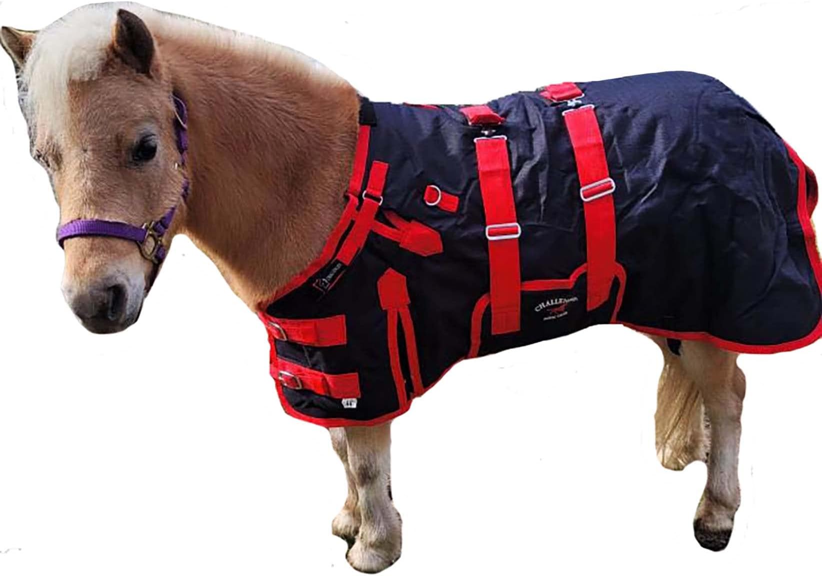 CHALLENGER 58" 1200D Miniature Weanling Donkey Pony Horse Foal Winter Blanket Red BLK 51946