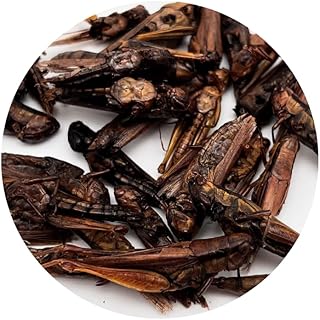Warnick´s Tierfutterservice Grasshoppers, Grasshoppers, Crickets, Food Insects Dried (1,000 ml) product image
