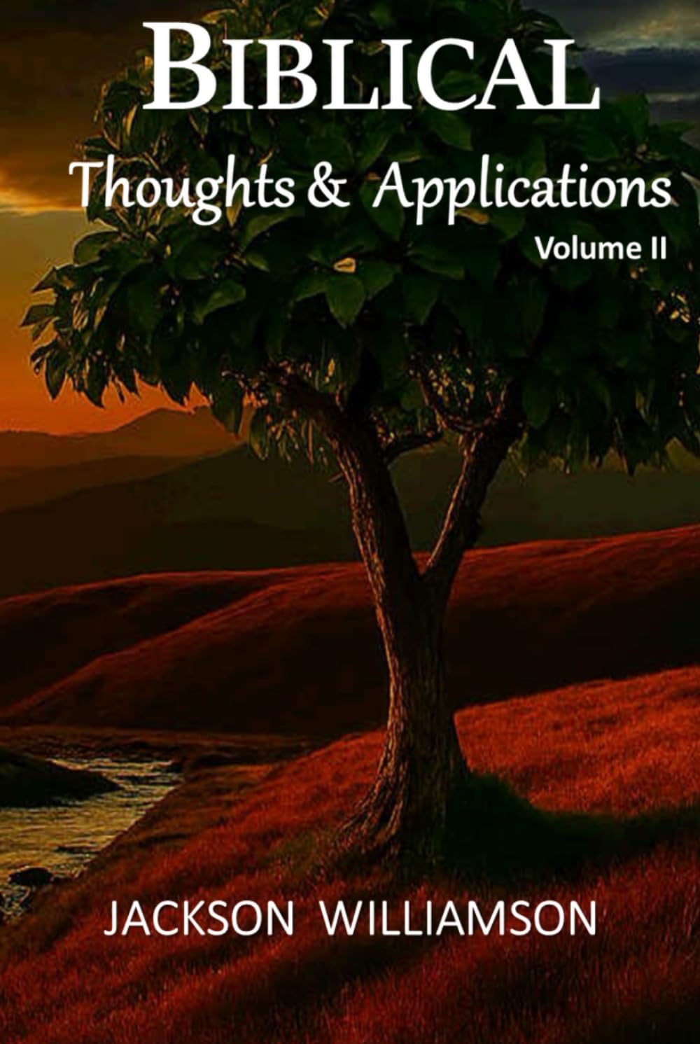 Biblical Thoughts & Applications Volume II