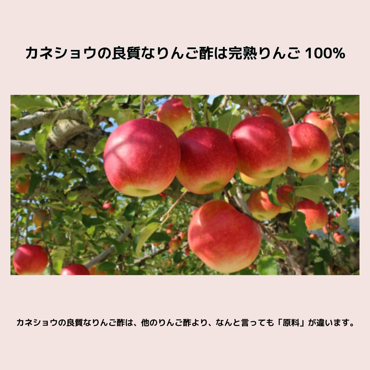 Amazon.co.jp: カネショウ株式会社 ハチミツ入りんご酢 500ml アップル