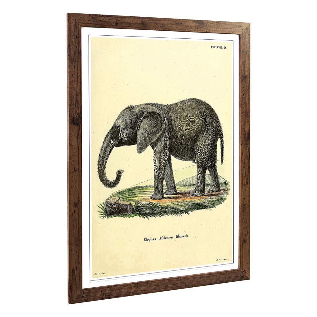 Big Box Art Framed Print of Vintage African Elephant Design | Wall Art Picture | Home Decor for Kitchen, Living, Dining Room, Bedroom, Hallway, Office, Walnut, A2 / 24.5x18 Inch / 62x45cm