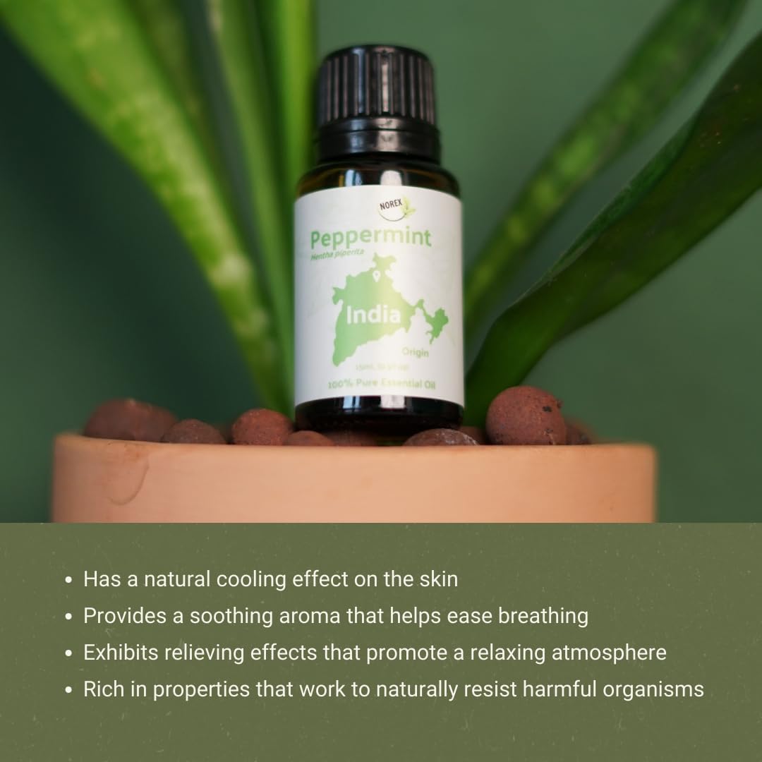 Peppermint Essential Oil - Direct from Norex Flavours India - Steam Distilled - Aceite Esencial de Menta for Aromatherapy, Massage, Diffuser, DIY Candle and Soap Making - 2lbs