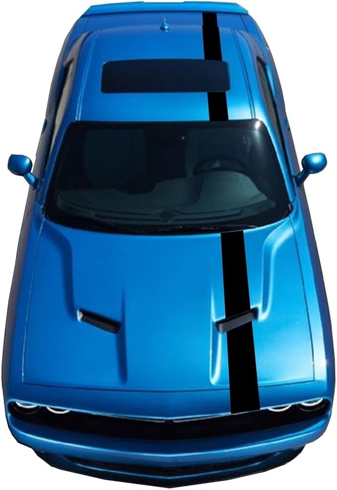 Amazon.com: Clausen's World Single 6 Inch Vinyl Racing Stripes