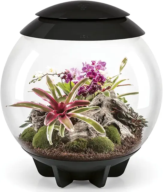biOrb AIR 60 Terrarium - Automatisiertes Pflanzen-Terrarium in Schwarz, 60 l