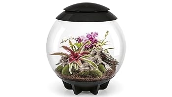 Amazon｜biOrb バイオーブエアー60 No.72557 ブラック 植物育成