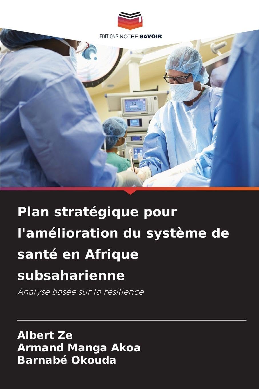 Plan stratégique pour l'amélioration du système de santé en Afrique subsaharienne: Analyse basée sur la résilience