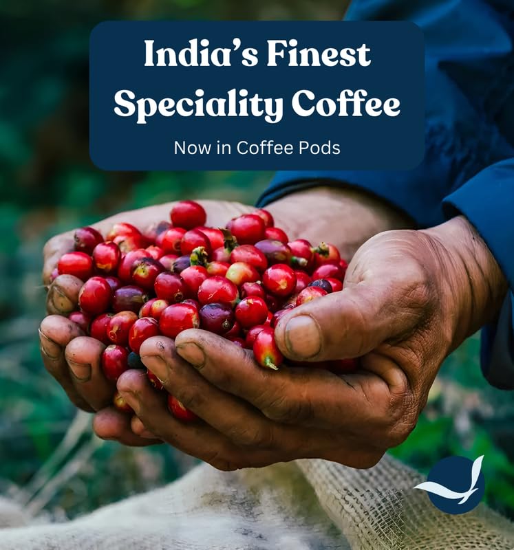 Image of Toffee Coffee Roasters |Mysore Nuggets Coffee Pods | Pack of 1 (10 Capsules)| Nespresso Compatible | AAA Speciality Grade | Notes: Nutty & Dark Chocolaty | Roast: Dark|