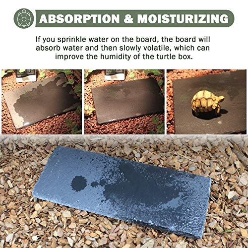 image for dojobkinb 11.8