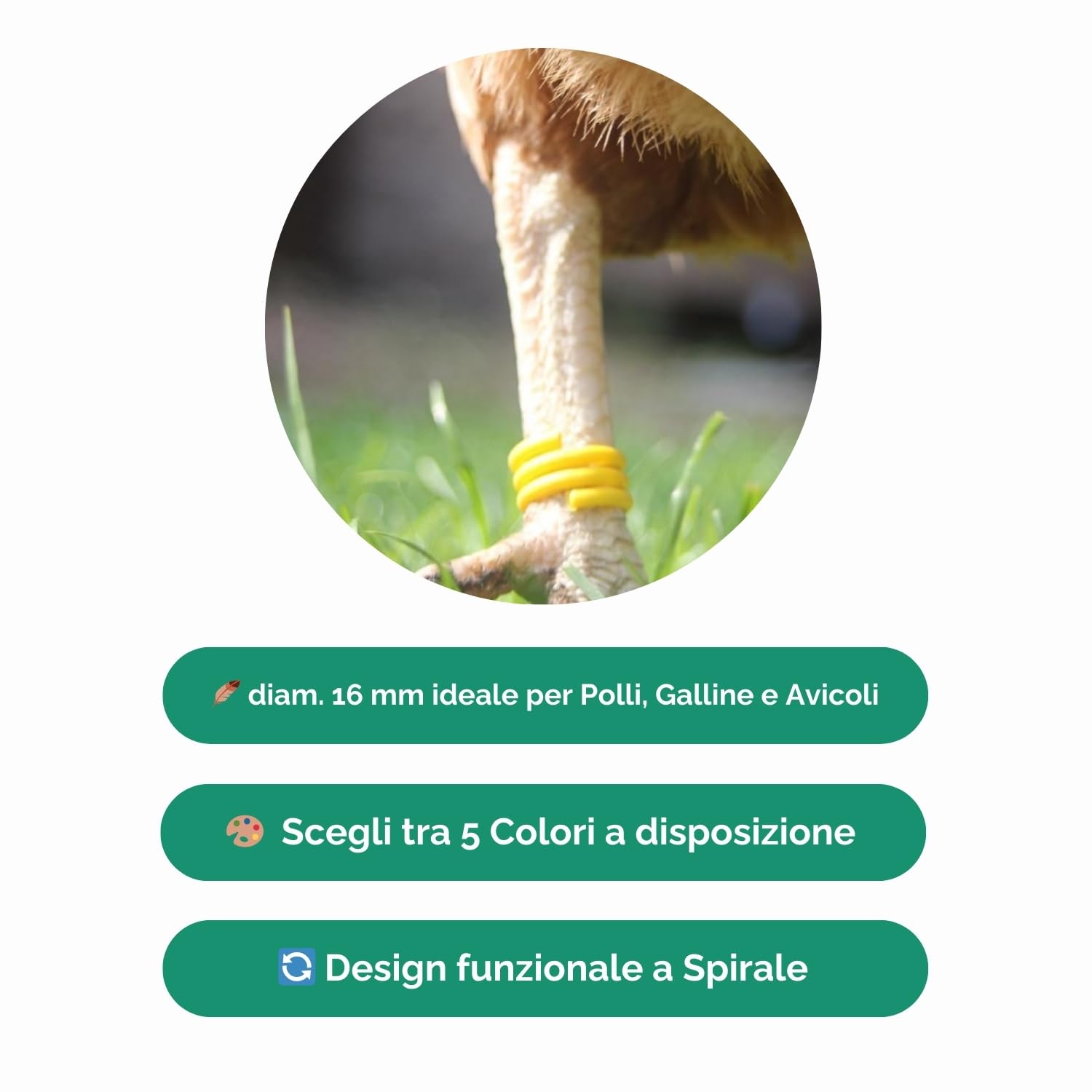 Anelli identificativi a spirale per Polli e Galline, in Plastica | Anelli per Tacchini | Anelli zampe per Polli, Galline Ovaiole e Tacchini - Confezione da 100 Pezzi (Rosso, 100 Anelli)