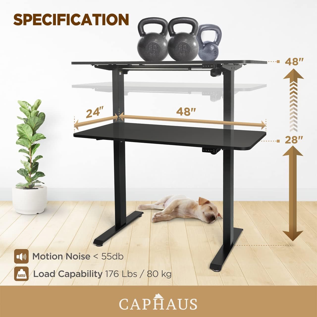 CAPHAUS 48 x 24 Inches Whole-Piece Deskboard Electric Standing Computer Desk, Home Office Height Adjustable Desk with Memory Control Panel, Black Metal Frame & P2 Grade Black Desktop, Single Motor