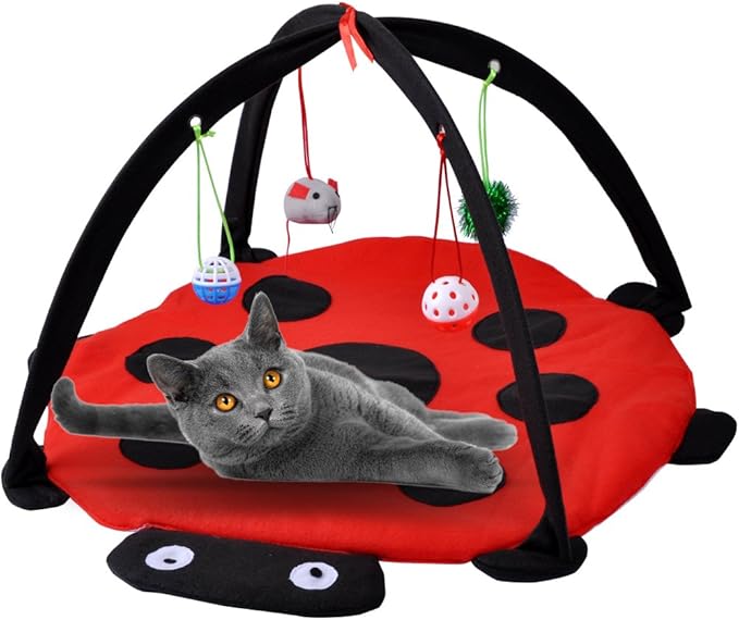 MyfatBOSS Cat Play Mat, Cat Activity Center with Hang Cat Toys Balls